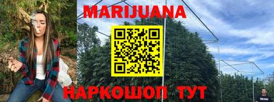 гашик Новозыбков