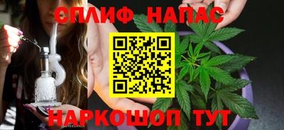 гашик Новозыбков