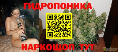 тгк Новодвинск