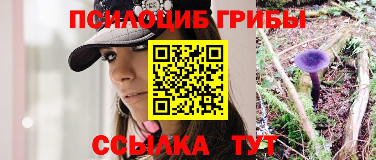 Галлюциногенные грибы мухоморы  Псилоцибиновые грибы Cubensis  Сланцы  Вход с VPN 
