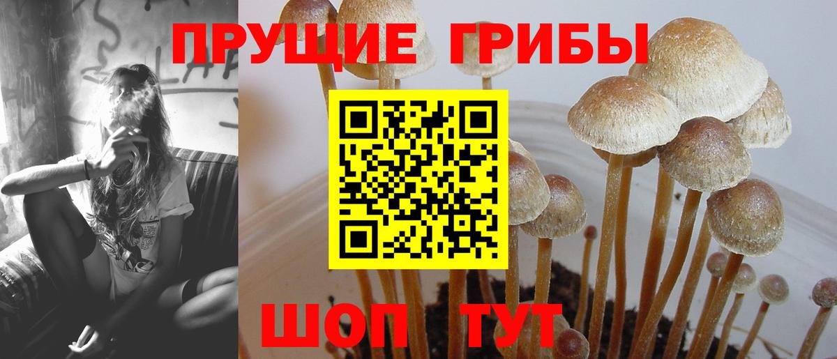 Псилоцибиновые грибы мухоморы Сланцы